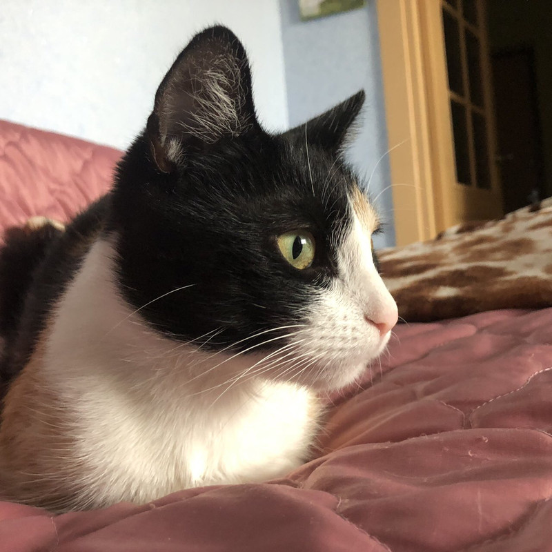 A8358957-F990-443E-8AC8-42221B53FE64