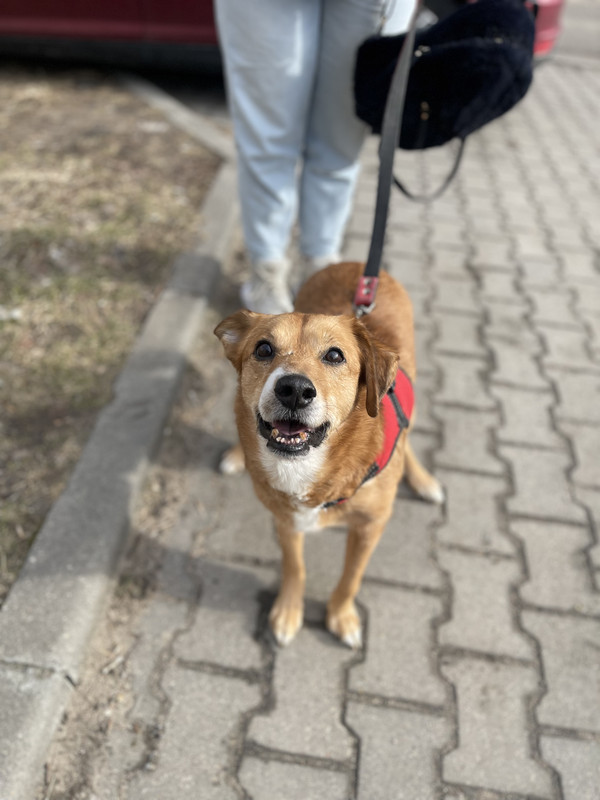 D71009DF-B612-4C9E-931A-569E1F8D70C8