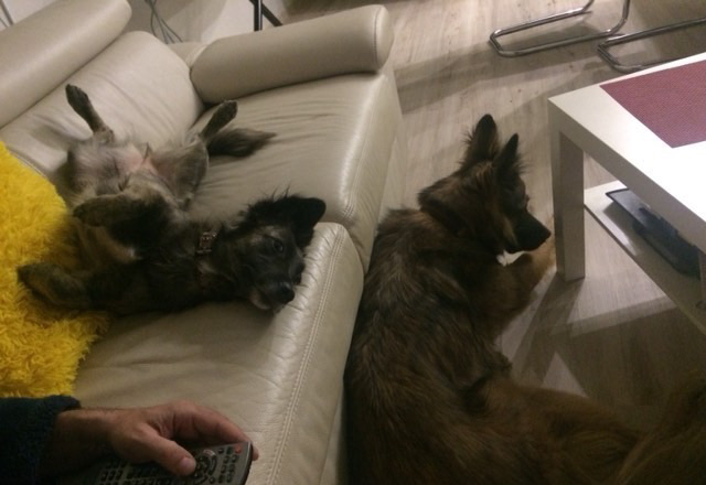 B5929564-5603-4980-A5F3-770E7511E98B