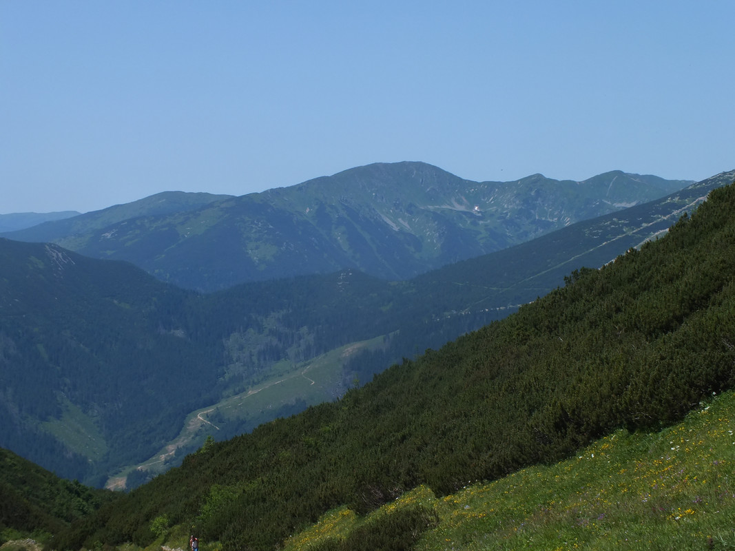 2019_0630DUMBIER0070