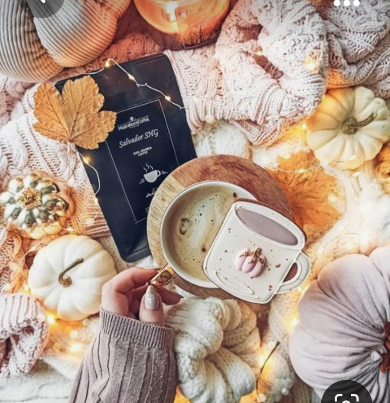 Screenshot_20230928_223853_Pinterest