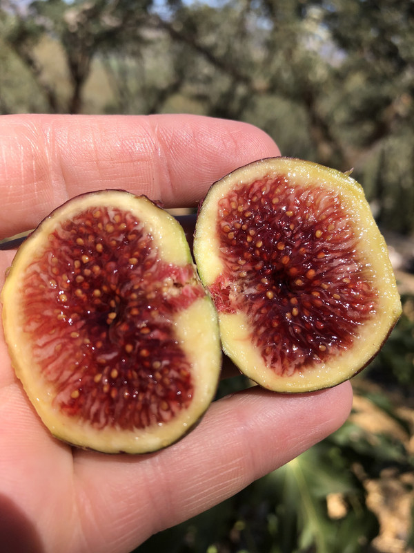 BB3662DF-E05C-4173-991A-DA0D81FD43E0