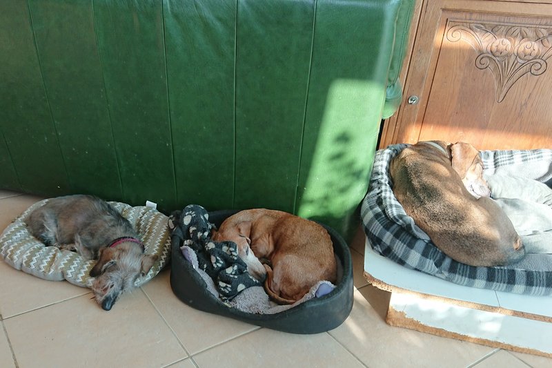 [Image: DSC-3655.jpg]