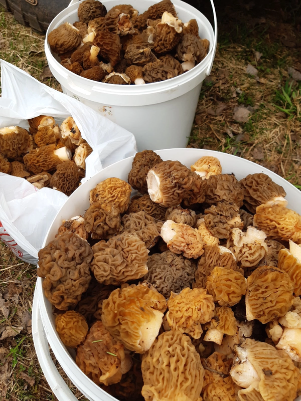 1FAF2F57-4151-4A78-813F-3F0768D43246