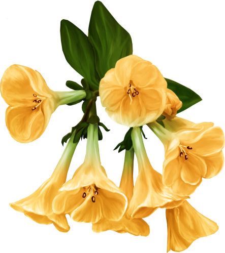 Kit_Just_Bee_In_ME (13)