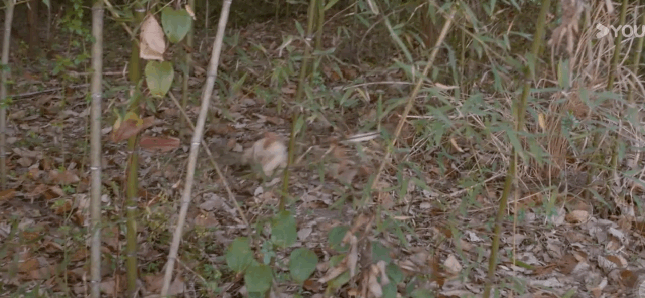 22AC909D-4A67-4F4D-8C21-D91964B7F781