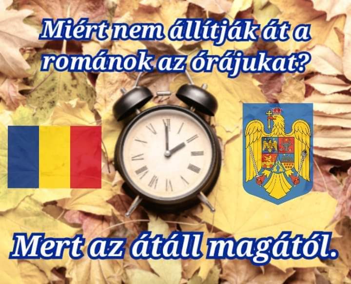 FB-IMG-1730286192388.jpg
