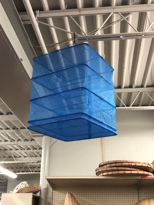 [Image: 8-C55325-B-A31-D-4-EB3-9-D04-DF0-E0-F790-E69.jpg]