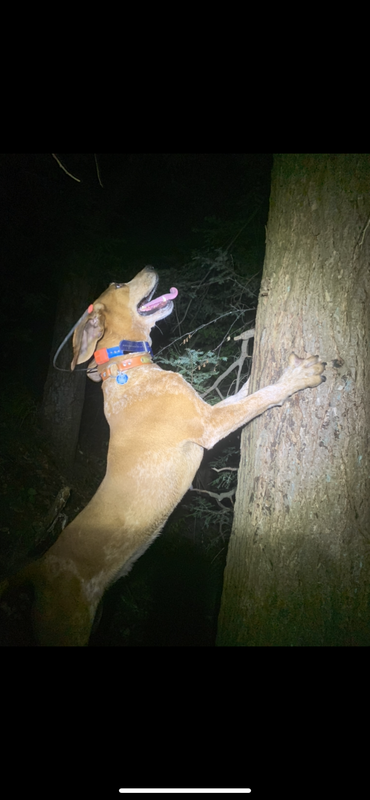 7EC2E2BD-9FD5-4FF8-89D4-A0B035A51755