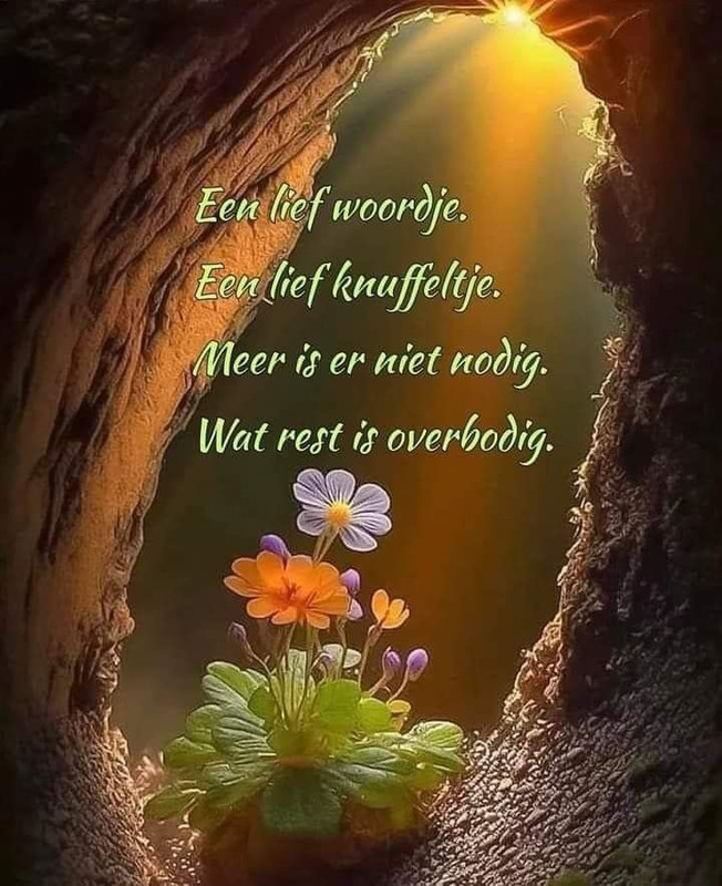 54CC1E4C-6A7B-42D3-AD79-71D70125F8AF