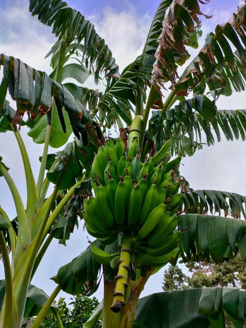 C7765913-E761-4DBA-96A2-12F50A9E55D5