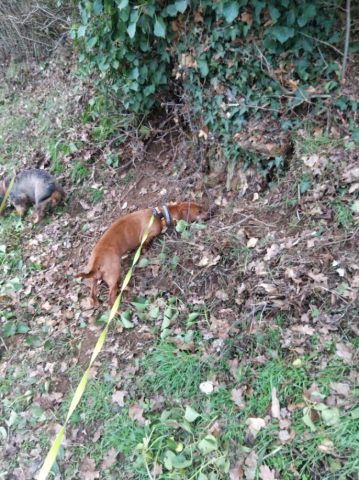 [Image: image000002-10.jpg]