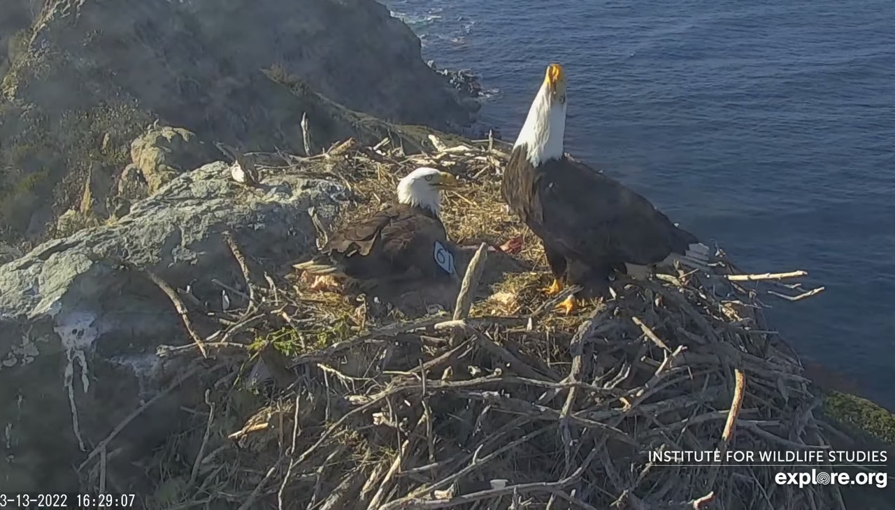 E3039418-A12A-46AC-AFA1-FB282E394AF8