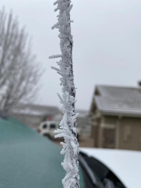 [Image: AD9578-C8-890-B-470-E-AC73-B92-AE2-E538-CB.jpg]