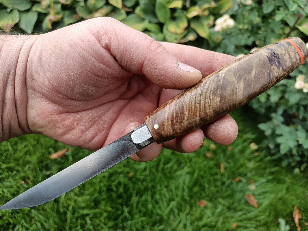 459156133_3603210159928681_36107145120039567_n