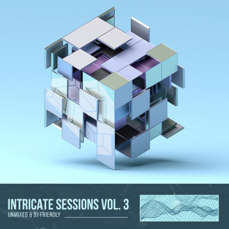 VA - Intricate Sessions Vol. 03 Unmixed (2020)