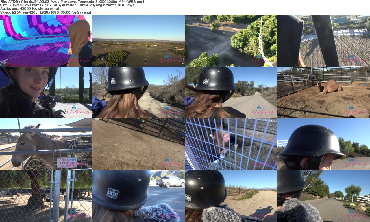 03032024120601screenshot
