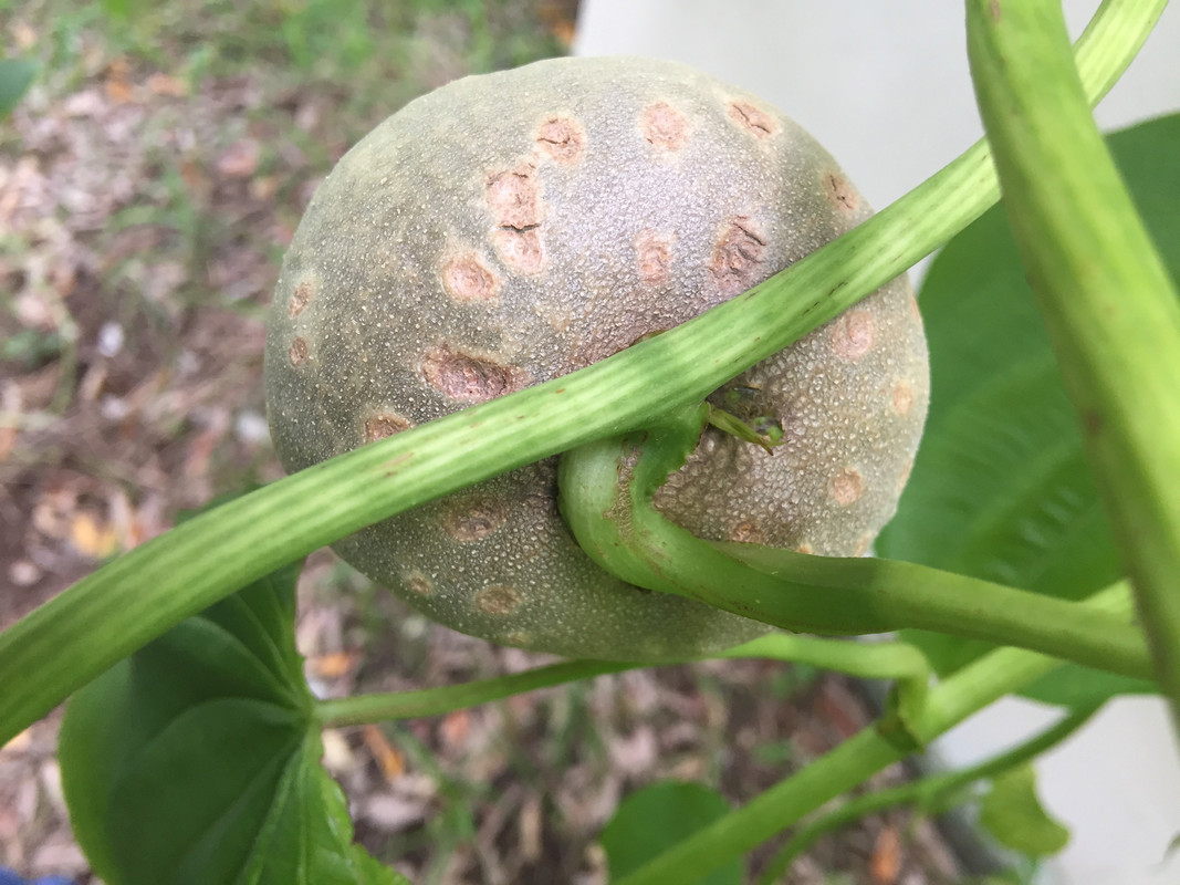 1B939E3C-EE50-41D9-9FED-CA00C2BE0309