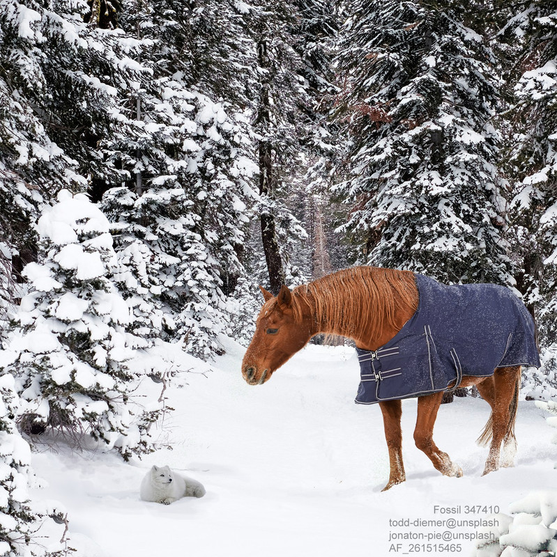 1500 -A New Friend (never entered this one in CCC 1-ptif