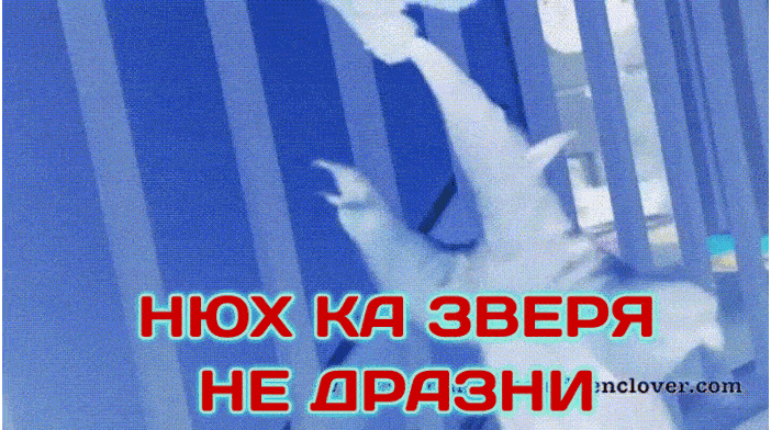 GIF-20250904-163638-219.gif