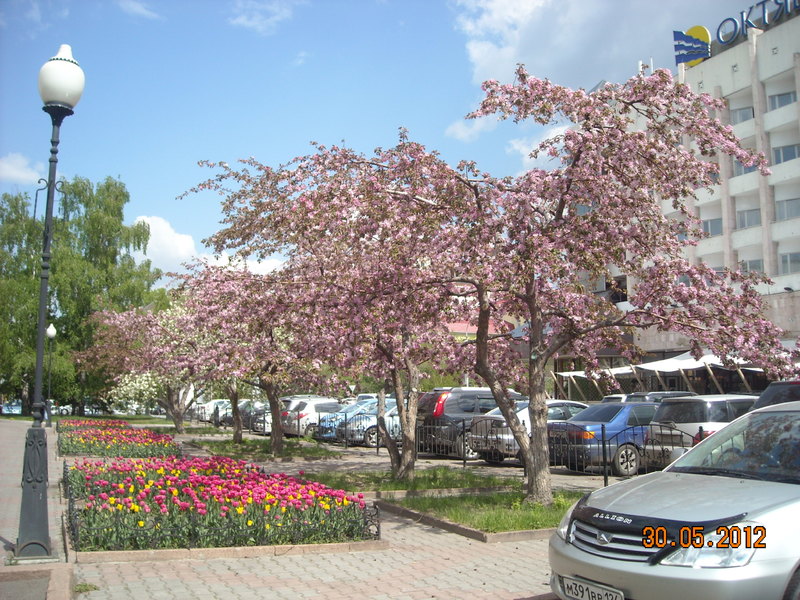 DSCN7966