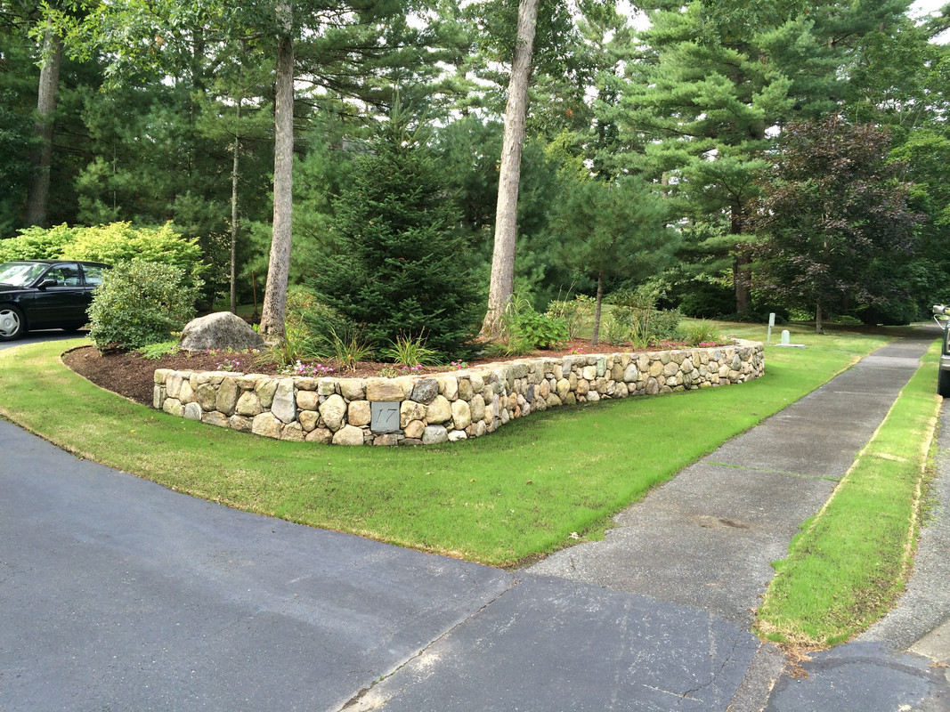 September 3 2016 (3)