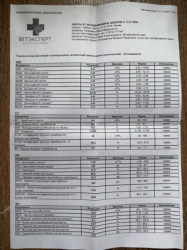 D090A48A-E52C-42B3-9E72-32C33FAEE00E