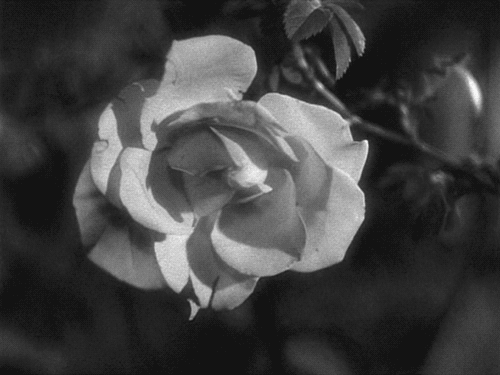 La Belle et la Bête (1946)