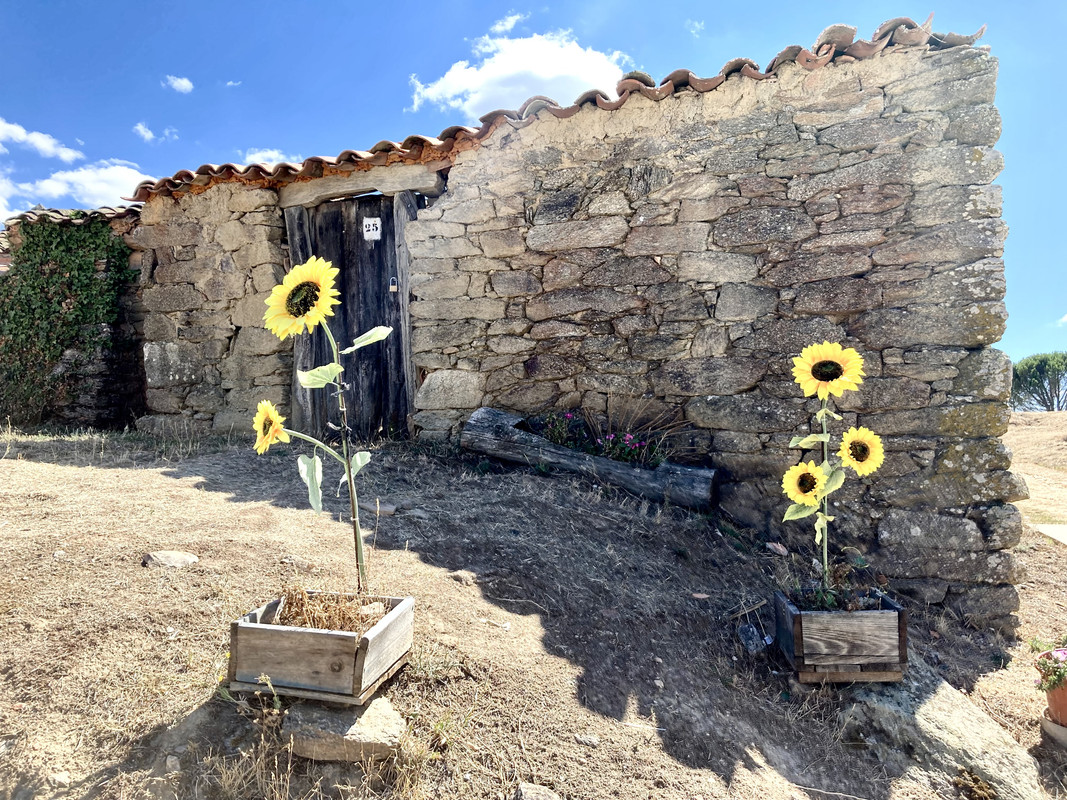 0005BFA7-24F1-447A-8524-B523334BF534