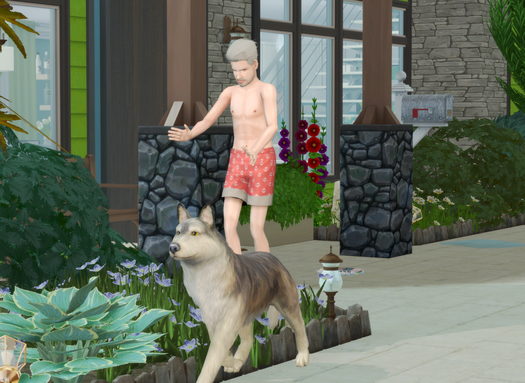 Sims2-EP9-RPC-2024-05-15-20-52-33-44