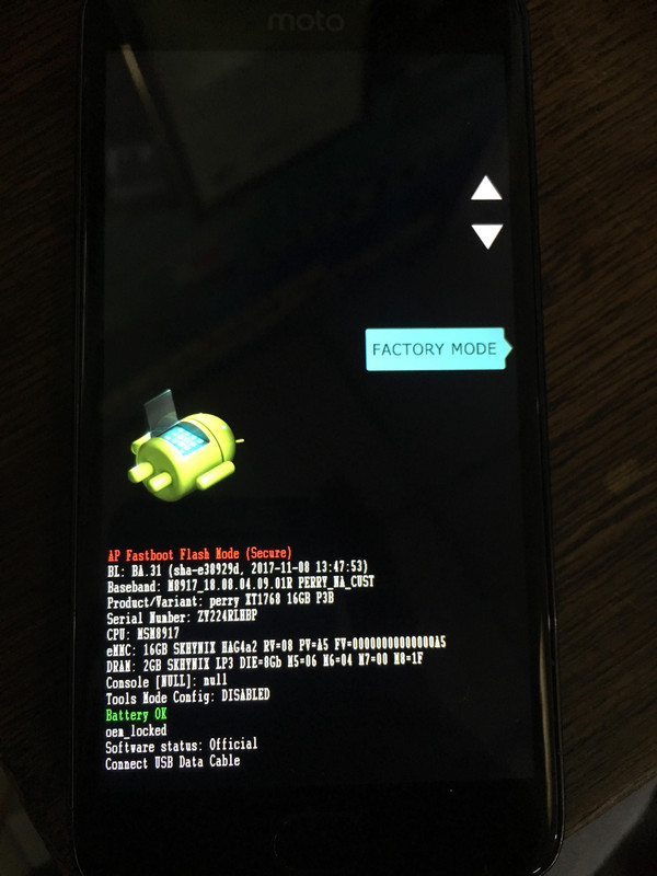 61961074-412699519460659-6032085141197684736-n.jpg