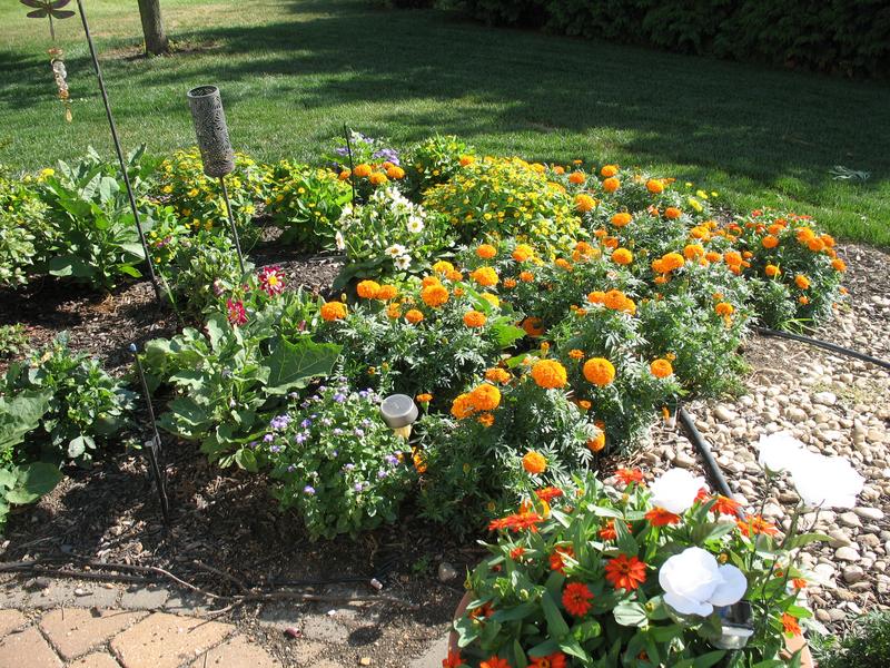 Lawn and Gardens 07.18.2018  (15)