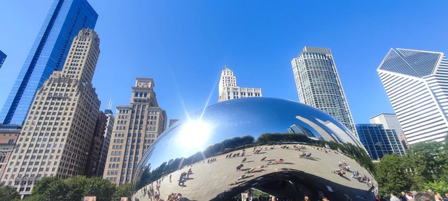 Caminando por Chicago: Esculturas, the Bean, lugares de películas y Torre Willis - Boston y Chicago (27)