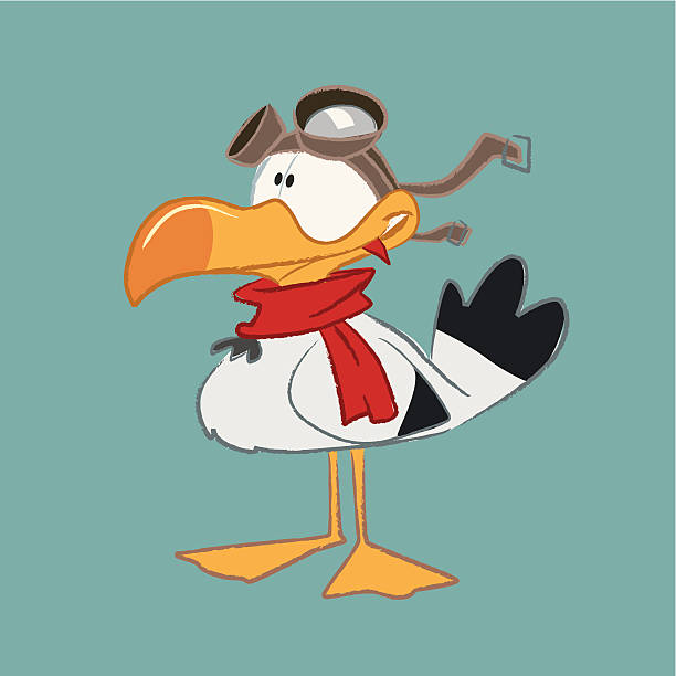 Mouette-PILOTE.jpg