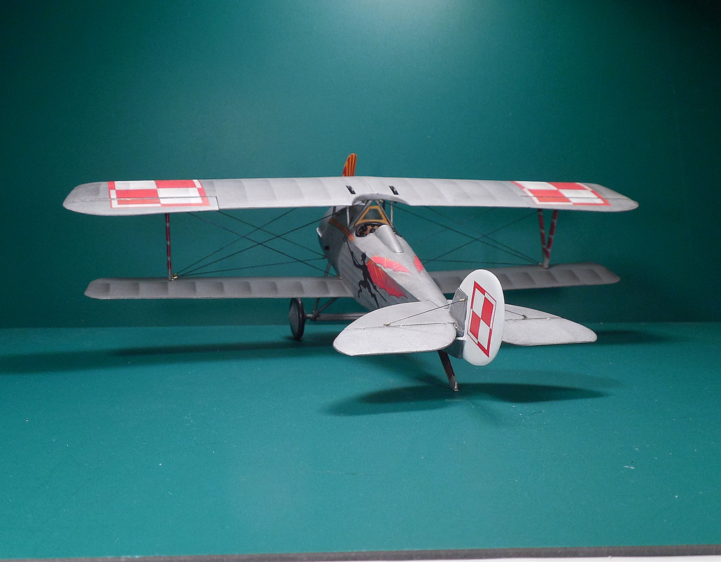 DSCN0955A