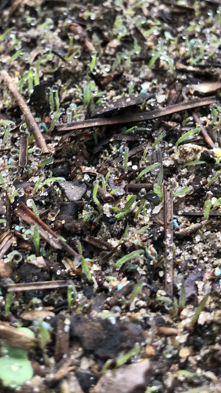 73577908-718B-47FE-9E29-B2DB6BEA436A