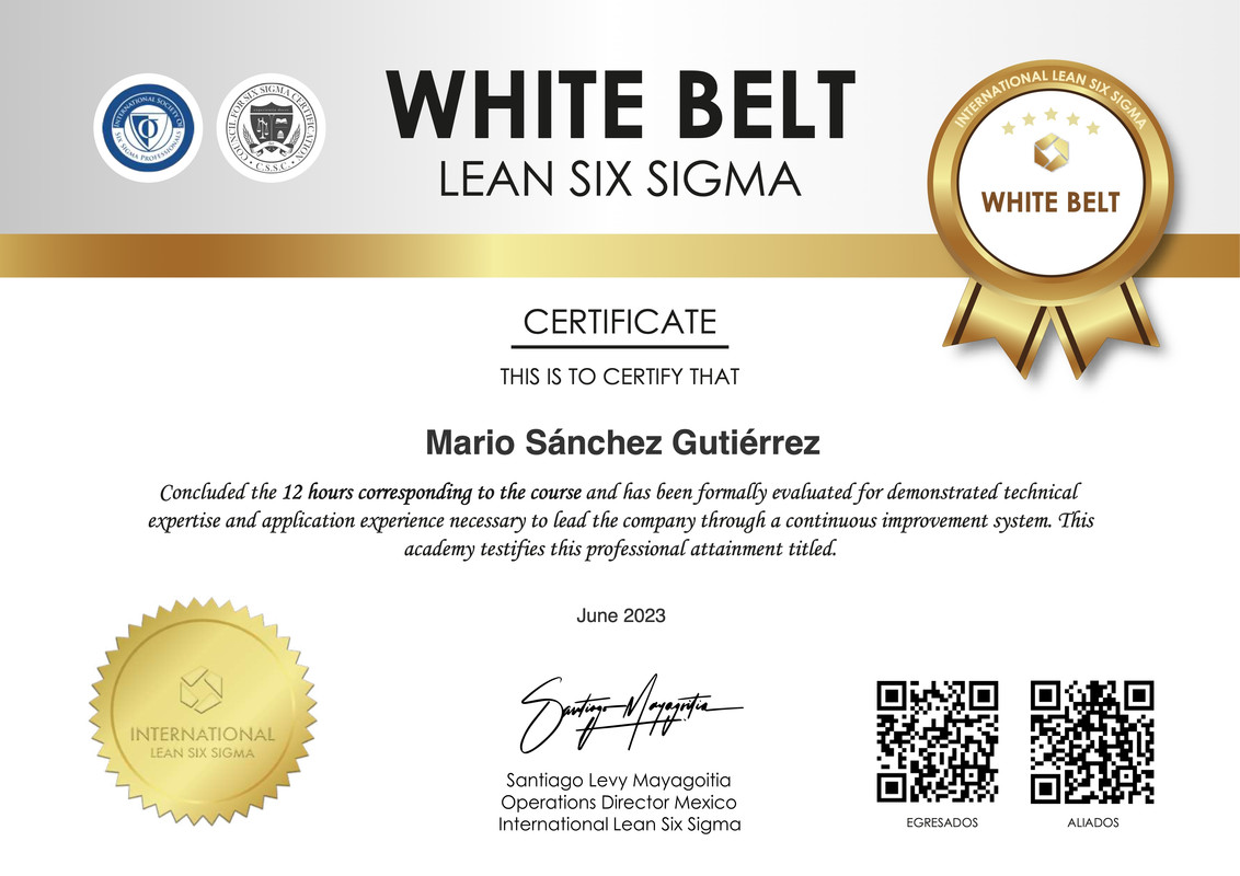 Certificado Mario Sánchez Gutiérrez White Belt