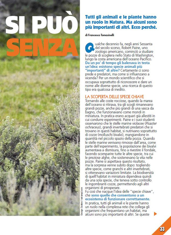 Foc Wil - Giu 2023 (8)