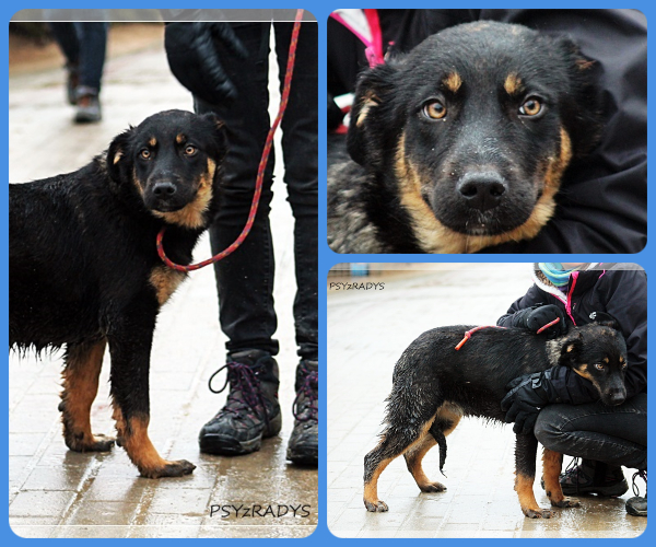 BeFunky-collage (24)