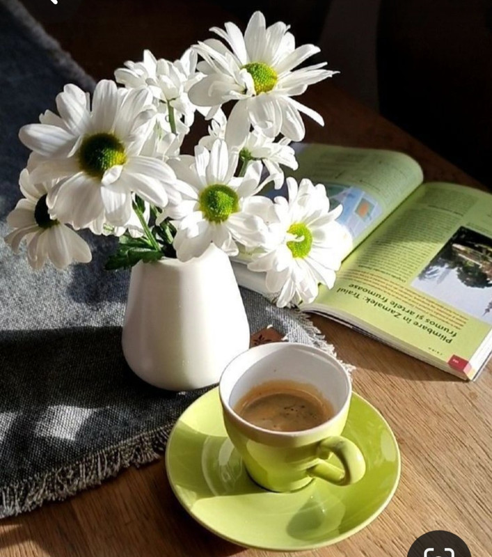 Screenshot_20230420_235109_Pinterest