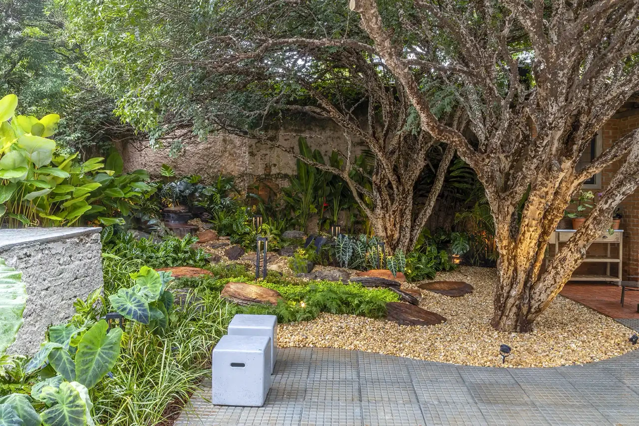 Proyecto profesional real