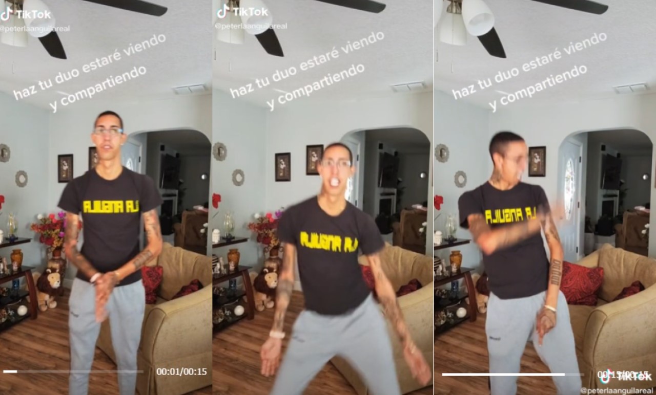 Peter la anguila reaparece en TikTok, usuarios lo creían muerto