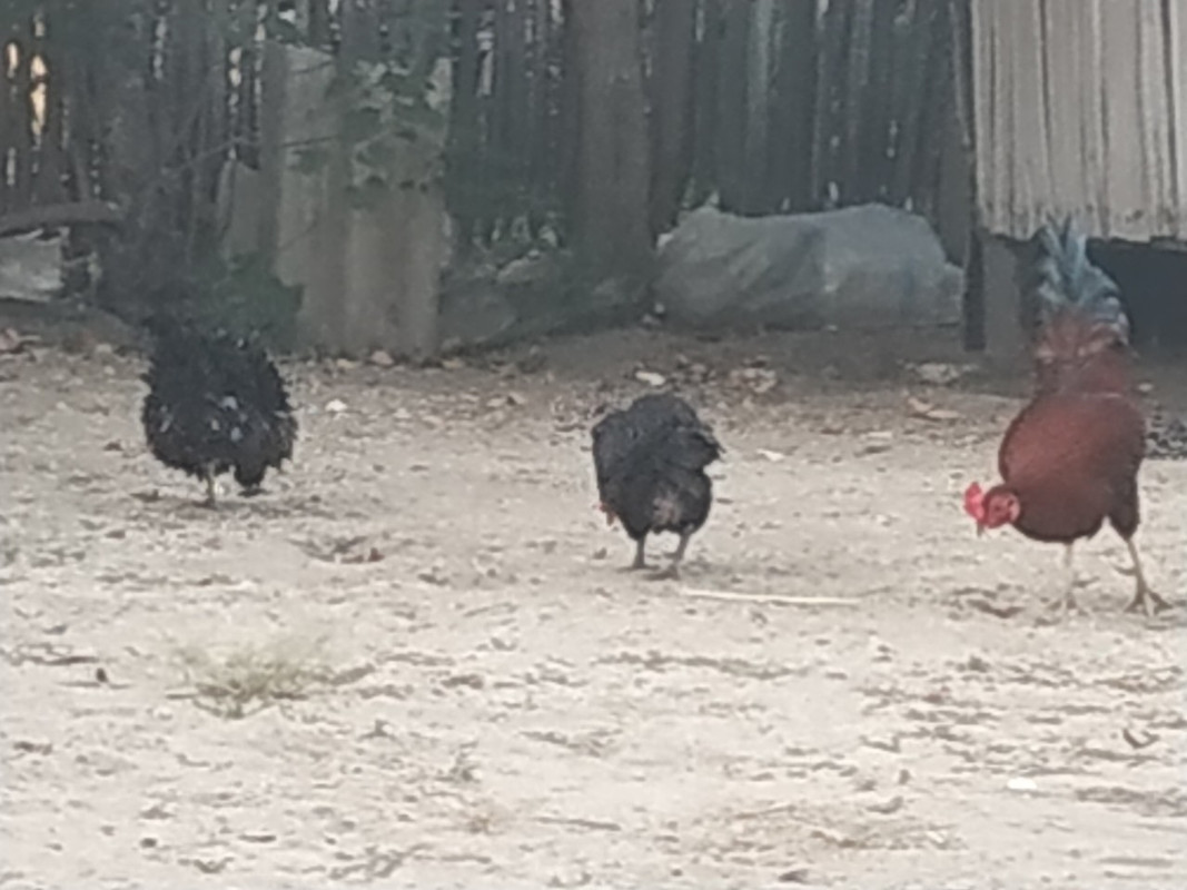 IMG-8b41e759d15ec56881d2b95e38d88705-V.j