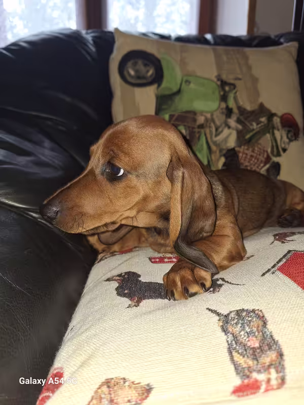 [Image: 20240930-174308.avif]