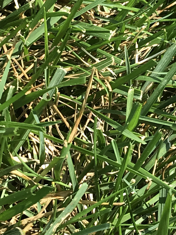 F468D86A-B1F7-485F-B022-BC53AA59F93A