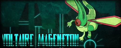 VoltaireFlygonBanner