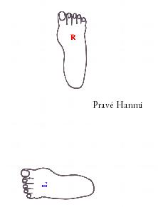 Pravé Hanmi
