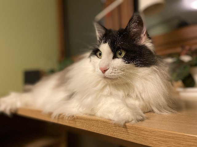 E038-FAE6-BEAA-4360-9084-D8202-C2-E285-B