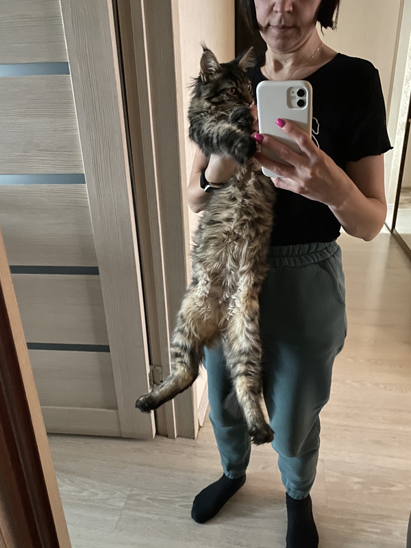 D05BE2C2-E67D-4653-B102-AD56A7AA43C7