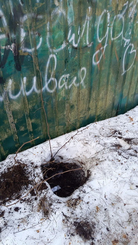 IMG 20260313 084628 380